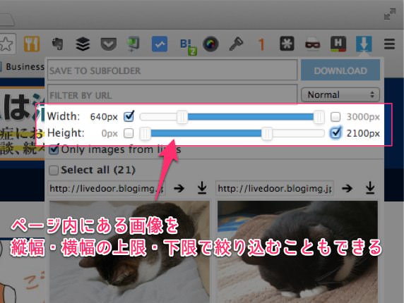 ウェブページ上にある画像を一括保存できる便利Chrome拡張 Image Downloader 07