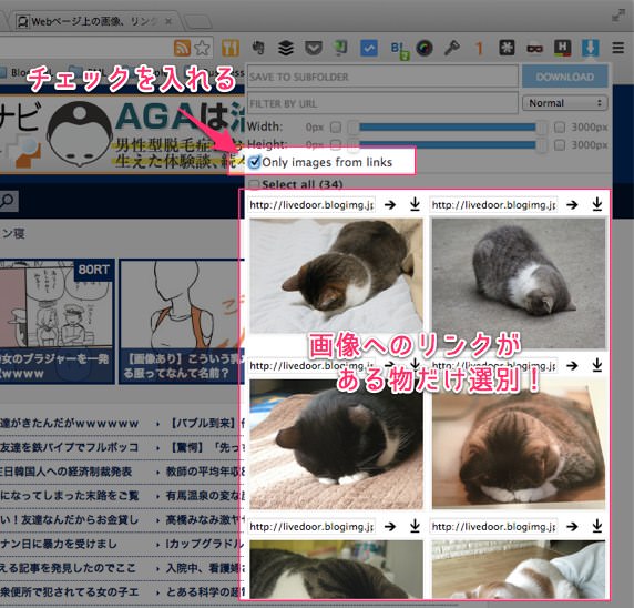 ウェブページ上にある画像を一括保存できるchrome拡張 Image Downloader が超便利 あなたのスイッチを押すブログ