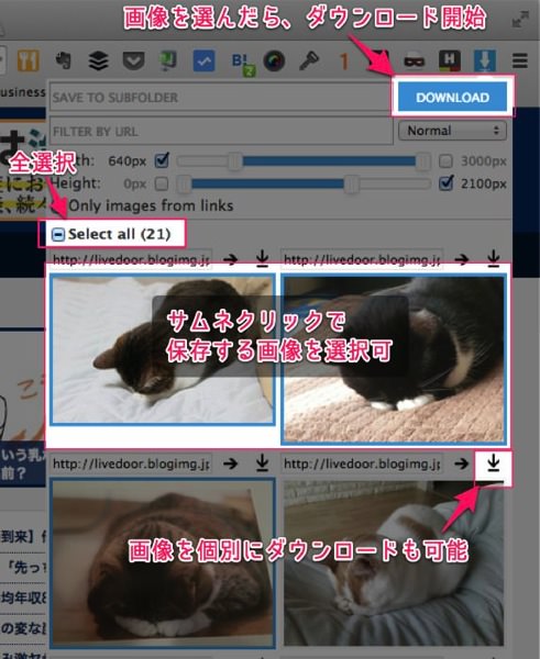 ウェブページ上にある画像を一括保存できるchrome拡張 Image Downloader が超便利 あなたのスイッチを押すブログ