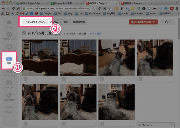 Picasa Google+ のインスタントアップロード整理方法