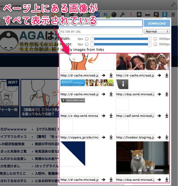 ウェブページ上にある画像を一括保存できる便利Chrome拡張 Image Downloader 04