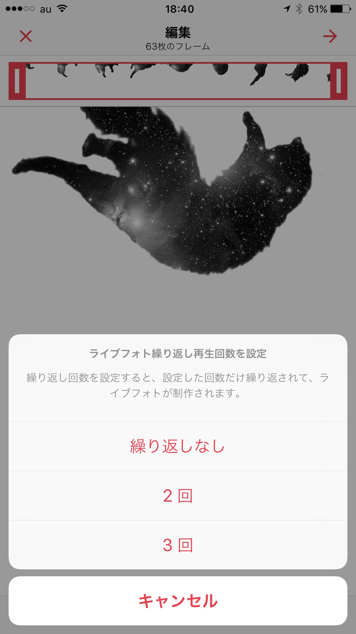 Iphoneの待受を動く壁紙にしてテンション上げよう お気に入りの動画もok あなたのスイッチを押すブログ