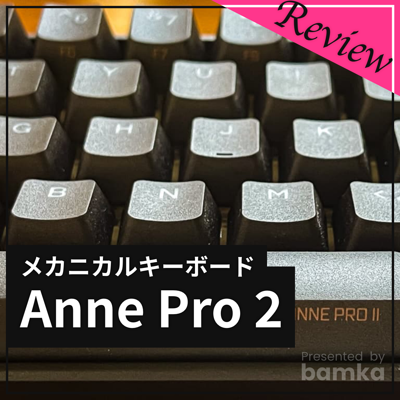 レビュー】メカニカルゲーミングキーボード「Anne Pro 2」がコスパ良く
