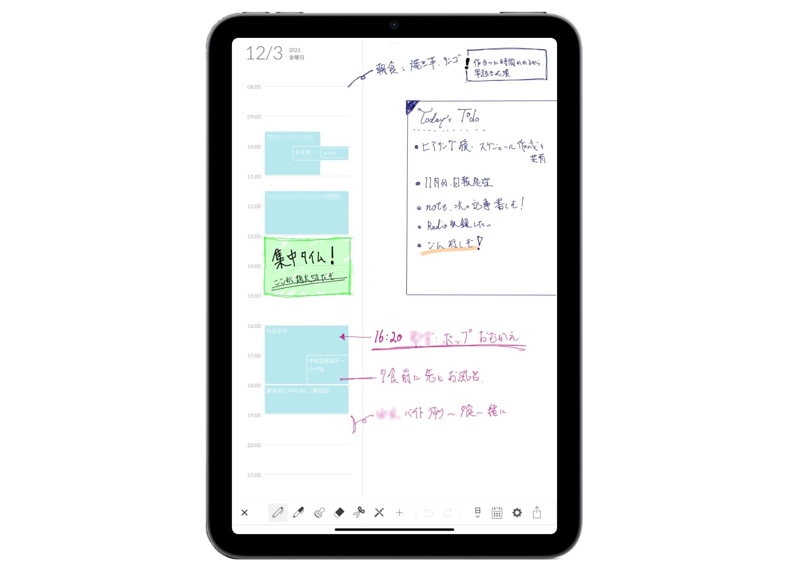 review-planner-ipad_1